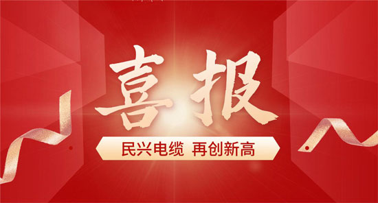 東莞民興電纜入選廣東省首席質(zhì)量官質(zhì)量變革創(chuàng)新典型案例